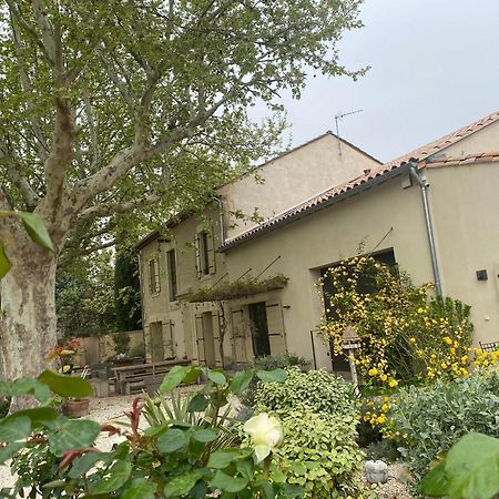 Gite Du Mas De La Finiere ,Avec Spa Interieur Châteaurenard Exteriör bild