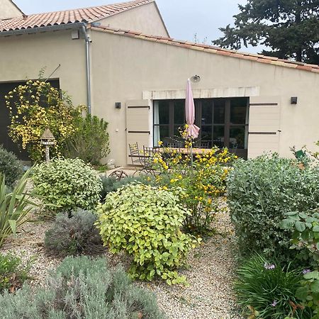 Gite Du Mas De La Finiere ,Avec Spa Interieur Châteaurenard Exteriör bild