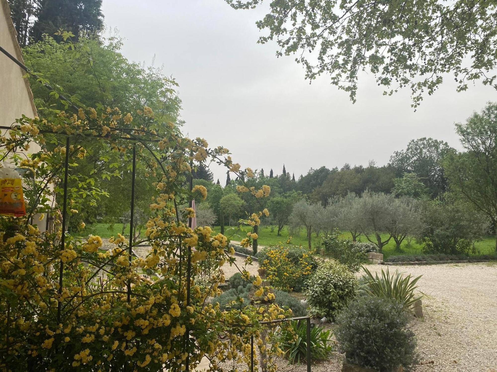 Gite Du Mas De La Finiere ,Avec Spa Interieur Châteaurenard Exteriör bild