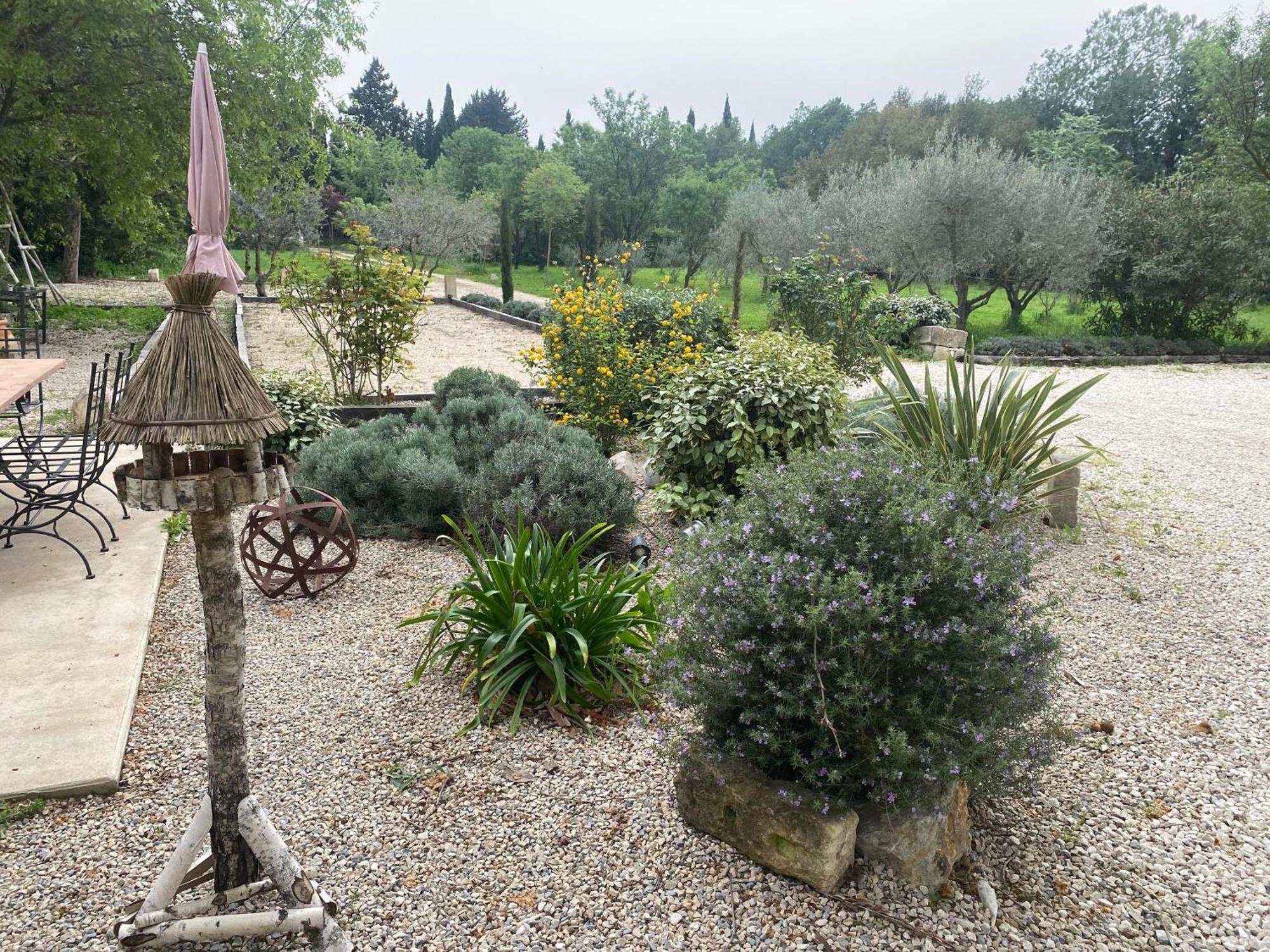 Gite Du Mas De La Finiere ,Avec Spa Interieur Châteaurenard Exteriör bild